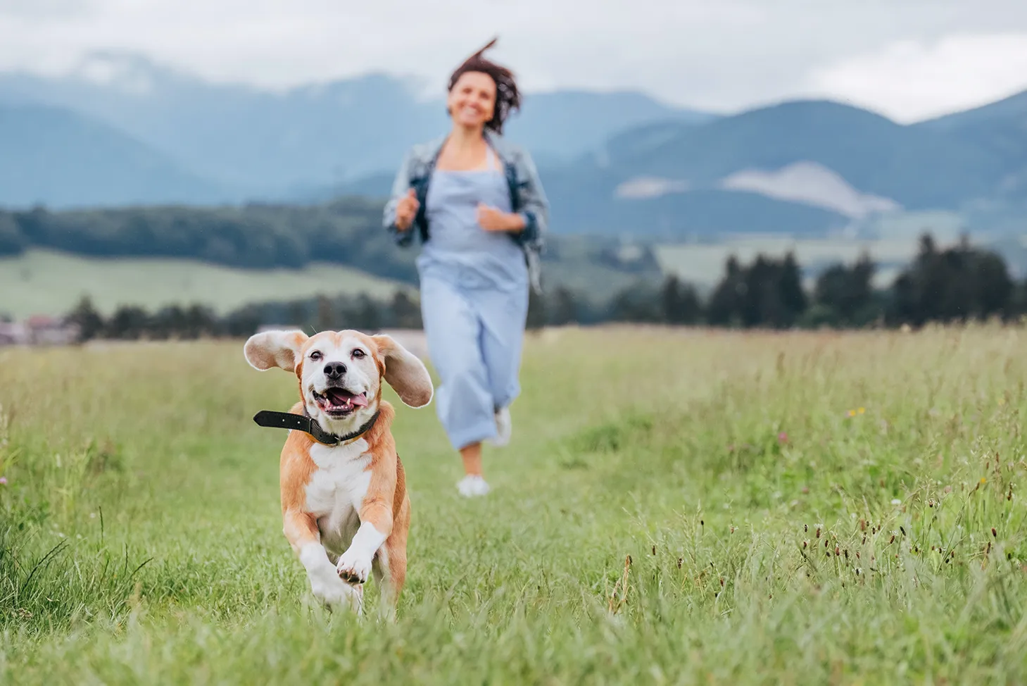 Keeping Your Pup's Joints Happy and Healthy: The Benefits of Joint Supplements for Dogs. 